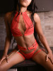Click to switch picture set (premium members only)