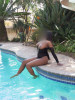 Click to switch picture set (premium members only)