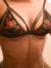 Click to switch picture set (premium members only)