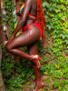Click to switch picture set (premium members only)