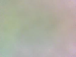 Webcam Recorded Chat for Arizona