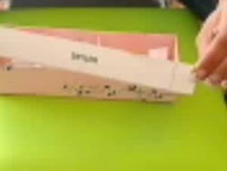 Webcam Recorded Chat for Mystery Guest