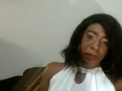 Webcam Recorded Chat for Transexual Lamina