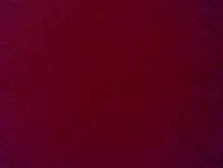 Webcam Recorded Chat for April