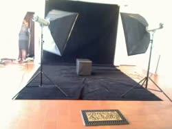 Webcam Recorded Chat for Mystery Guest